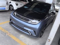 BYD Dolphin 2025 520km Knight Edition - ფოტო 1