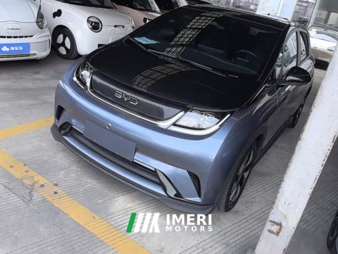 2024 BYD Dolphin 2025 520km Knight Edition - ავტომობილი ჩინეთიდან