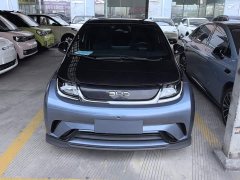 BYD Dolphin 2025 520km Knight Edition - ფოტო 2