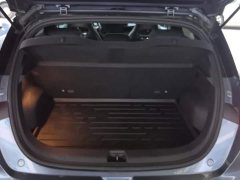 BYD Dolphin 2025 520km Knight Edition - ფოტო 4
