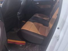 Geely Cannon 2.0T Passenger Automatic Diesel 4WD Premium GW4D20M - ფოტო 11