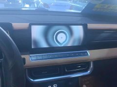 Geely Cannon 2.0T Passenger Automatic Diesel 4WD Premium GW4D20M - ფოტო 13