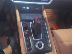 Geely Cannon 2.0T Passenger Automatic Diesel 4WD Premium GW4D20M - ფოტო 16