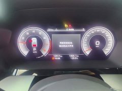 Audi A3 A3L Limousine 35 TFSI Luxury Sport - ფოტო 14