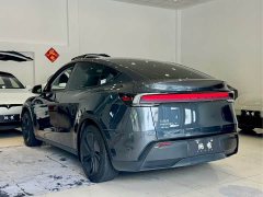 Tesla Model Y Rear-Wheel Drive - ფოტო 13