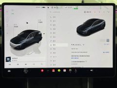Tesla Model Y Rear-Wheel Drive - ფოტო 17