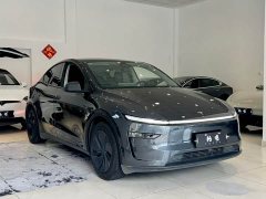 Tesla Model Y Rear-Wheel Drive - ფოტო 3
