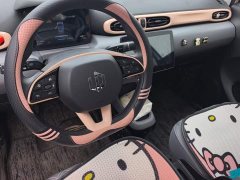 Leapmotor T03 Liuli Edition - ფოტო 12
