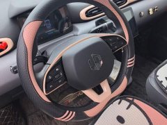 Leapmotor T03 Liuli Edition - ფოტო 15