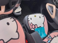 Leapmotor T03 Liuli Edition - ფოტო 16