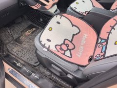 Leapmotor T03 Liuli Edition - ფოტო 9