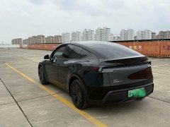 Tesla Model Y Rear-Wheel Drive - ფოტო 12