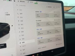 Tesla Model Y Rear-Wheel Drive - ფოტო 13