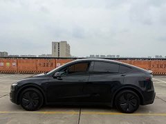 Tesla Model Y Rear-Wheel Drive - ფოტო 9