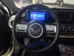 Wuling Binguo 333km Quick Enjoy Edition - ფოტო 15