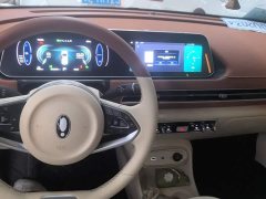 ORA Good Cat 2022 Morandi Edition 400km Standard Range Luxury Trim LFP - ფოტო 11