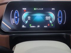 ORA Good Cat 2022 Morandi Edition 400km Standard Range Luxury Trim LFP - ფოტო 13