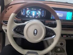ORA Good Cat 2022 Morandi Edition 400km Standard Range Luxury Trim LFP - ფოტო 14