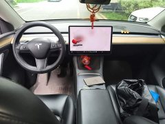 Tesla Model Y Long Range All-Wheel Drive 3D7 - ფოტო 5