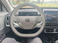 Leapmotor B10 600 Enjoyment Edition - ფოტო 15