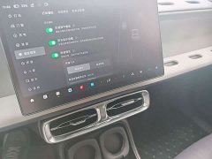 Leapmotor B10 600 Enjoyment Edition - ფოტო 18