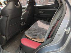 Jetour Jietu Dasheng 1.5T DCT Star Shine PRO - ფოტო 11