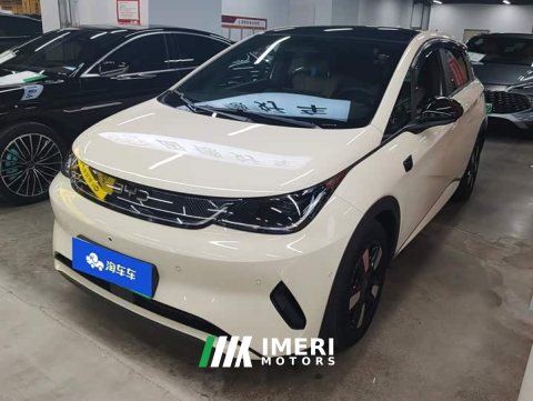 2025 BYD Dolphin Smart Drive 410km Fashion Edition - ავტომობილი ჩინეთიდან