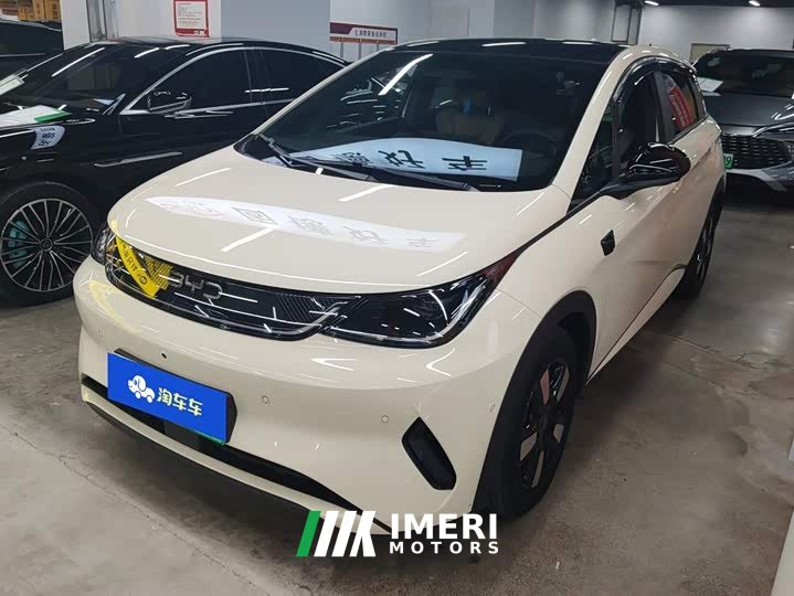 BYD Dolphin Smart Drive 410km Fashion Edition