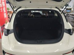 BYD Dolphin Smart Drive 410km Fashion Edition - ფოტო 4