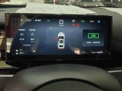 BYD Dolphin 06 DM-i Smart Drive Edition 80KM Luxury - ფოტო 14