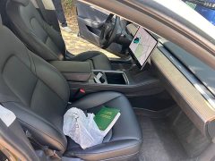 Tesla Model 3 Standard Range RWD Upgrade 3D6 - ფოტო 14