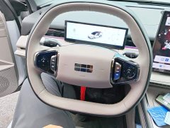 Geely Galaxy Xingyao 8 130km EM-i Premium Edition - ფოტო 15