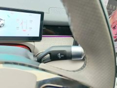 Geely Galaxy Xingyao 8 130km EM-i Premium Edition - ფოტო 16