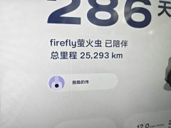 Firefly Luminous Edition - ფოტო 8