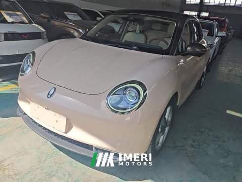 2021 ORA Good Cat 400km Standard Range Venus Edition LFP Battery - ავტომობილი ჩინეთიდან