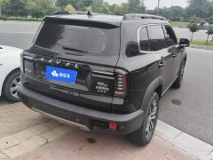 Great Wall Dachshund 2021 1.5T DCT Two-Wheel Drive Border Collie Edition - ფოტო 3