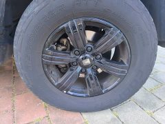 Tank 300 2021 Off-Road Edition 2.0T Conqueror - ფოტო 8