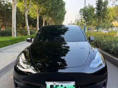 Tesla Model Y Long Range All-Wheel Drive 3D7 - ფოტო 1