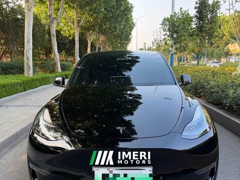 2021 Tesla Model Y Long Range All-Wheel Drive 3D7 - ავტომობილი ჩინეთიდან