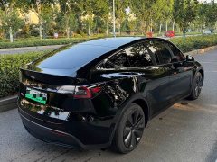 Tesla Model Y Long Range All-Wheel Drive 3D7 - ფოტო 10