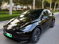 Tesla Model Y Long Range All-Wheel Drive 3D7 - ფოტო 2