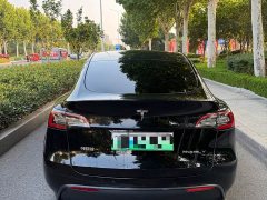 Tesla Model Y Long Range All-Wheel Drive 3D7 - ფოტო 9