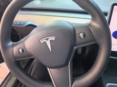 Tesla Model 3 Standard Range RWD Upgrade - ფოტო 15