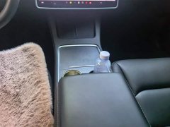 Tesla Model 3 Standard Range RWD Upgrade - ფოტო 16