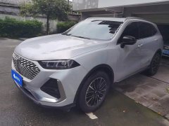 Great Wall Wei Brand Latte DHT 1.5T DHT Ultra Cup - ფოტო 1