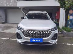 Great Wall Wei Brand Latte DHT 1.5T DHT Ultra Cup - ფოტო 2