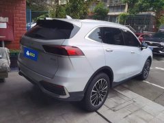Great Wall Wei Brand Latte DHT 1.5T DHT Ultra Cup - ფოტო 3