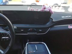 Buick Junyue 28T Yue Zun Edition - ფოტო 9