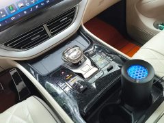 Denza BYD Denza D9 EV 600 AWD Luxury - ფოტო 16
