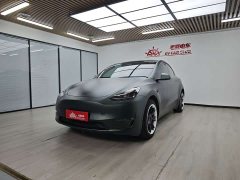 Tesla Model Y 2021 Standard Range RWD - ფოტო 1